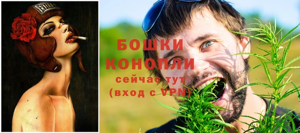ALPHA PVP Алексин