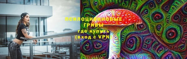ALPHA PVP Алексин